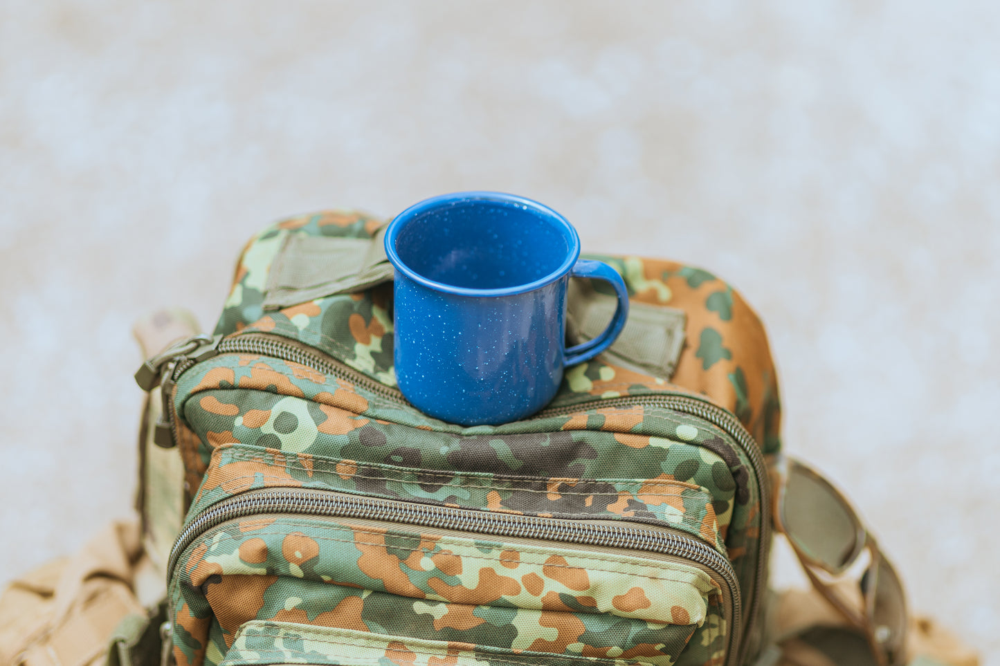 Camp Mug(BLUE WESTERN 23OZ CUP)