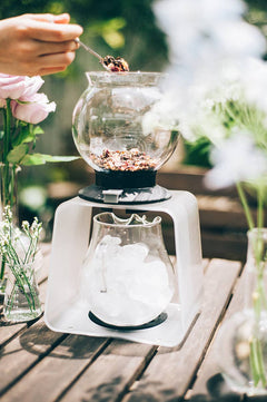 Hario - Largo Tea Dripper Stand Set - 800 mL