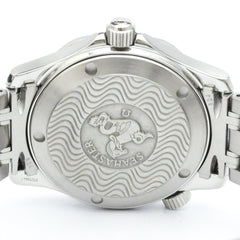Omega Seamaster Professional 300M · Steel