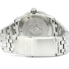 Omega Seamaster Professional 300M · Steel