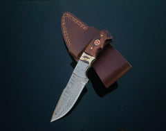 DAMASCUS STEEL FIXED BLADE KNIFE WITH WALNUT & STAG HORN HANDLE HUNTING KNIFE MINI TD-159X