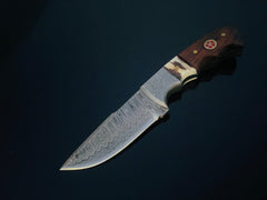DAMASCUS STEEL FIXED BLADE KNIFE WITH WALNUT & STAG HORN HANDLE HUNTING KNIFE MINI TD-159X