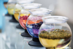 Hario - Largo Tea Dripper Stand Set - 800 mL