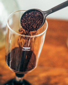 Hario - Technica Coffee Syphon